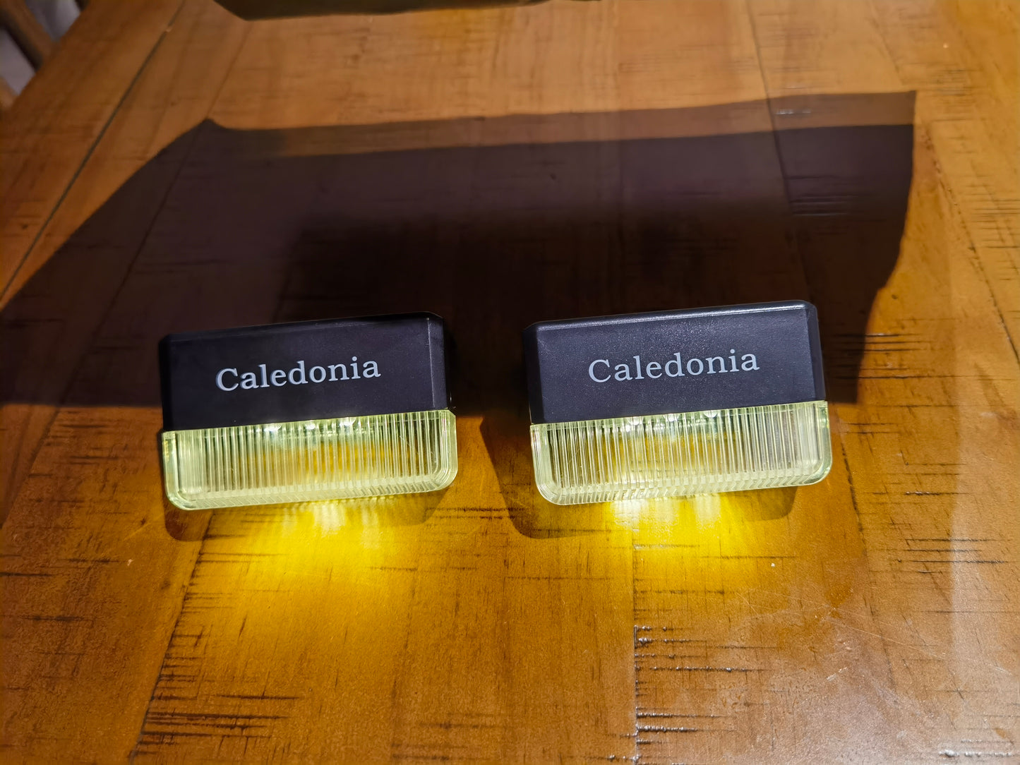 Caledonia Hanging Solar Powered Light